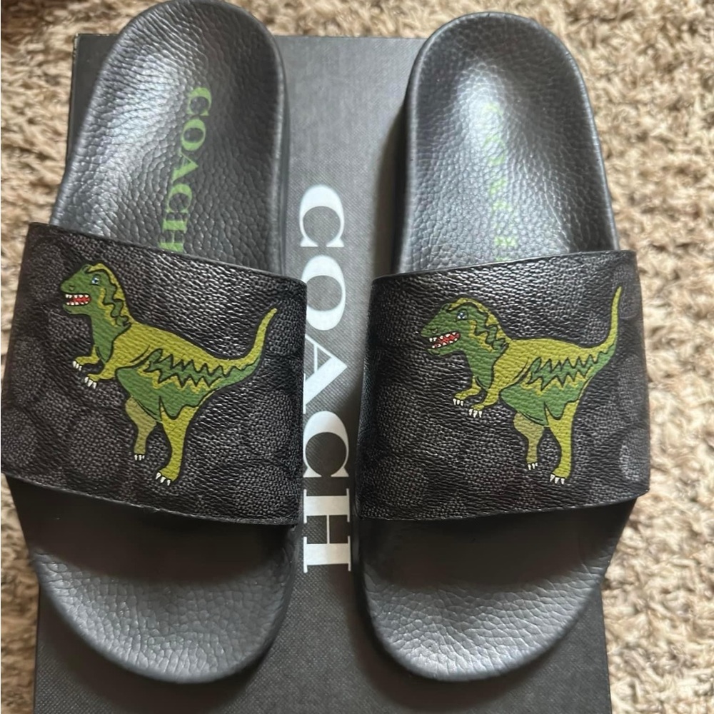 Brand new coach Rexy slides. Comes with box